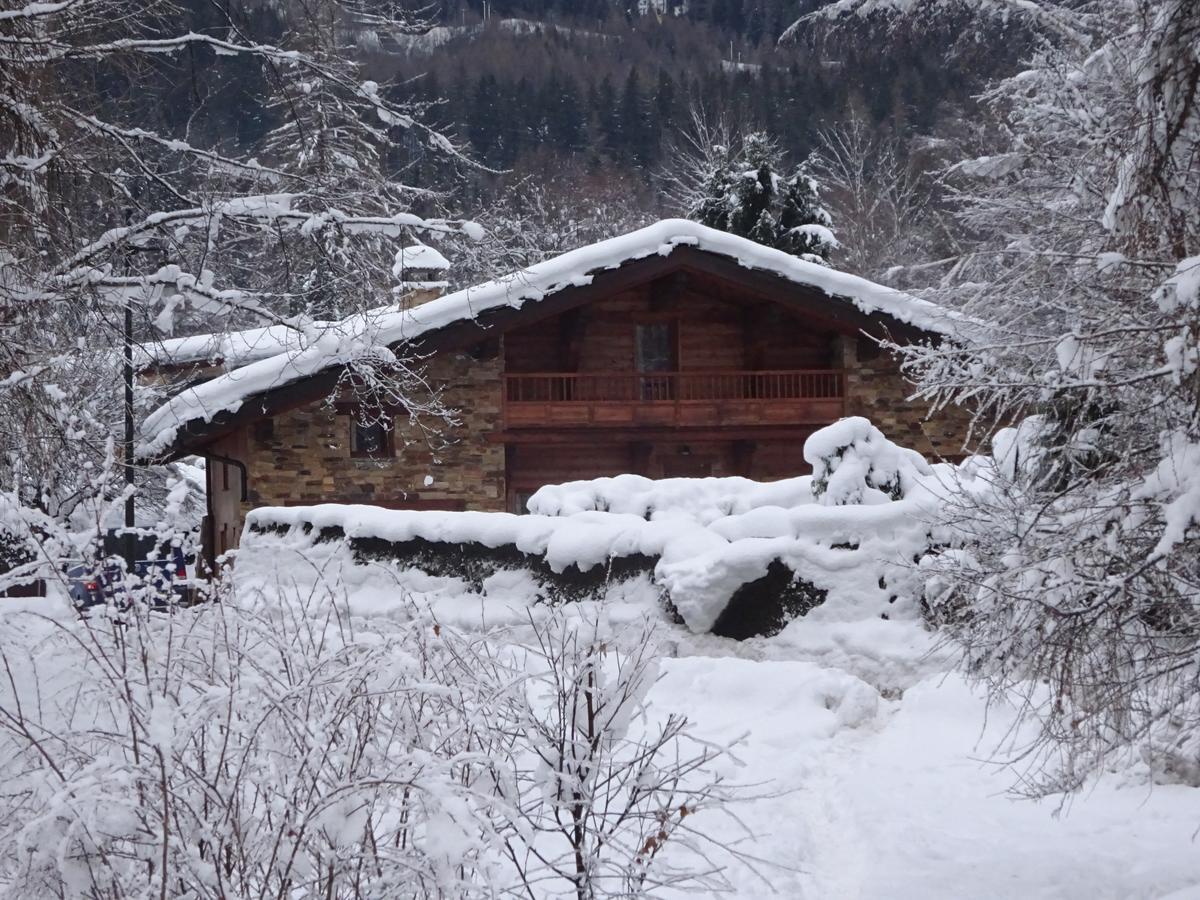 שאמוני Ski Breezy Chalet מראה חיצוני תמונה